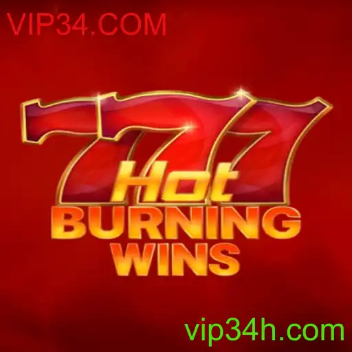 Explorando o Fascínio do Jogo HotBurningWins